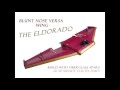 The eldorado ft blunt nose versa wing with fiberglass spars