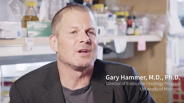 Impacting Cancer Research