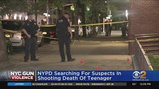 Family in shock after 17-year-old girl shot to death in Brooklyn