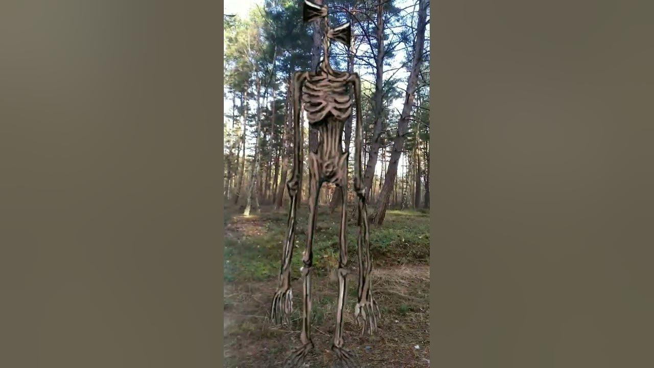серена головый - YouTube