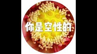 201608 你是空性的25438