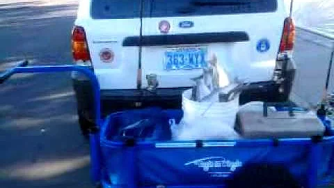 ulises varela sr fishing cart
