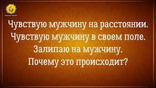 Залипаю на мужчину / Чувствую мужчину на расстоянии / Чувствую мужчину в поле / Близнецовые пламена