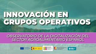 📡 Innovación colaborativa en el agro | Observatorio de la Digitalización