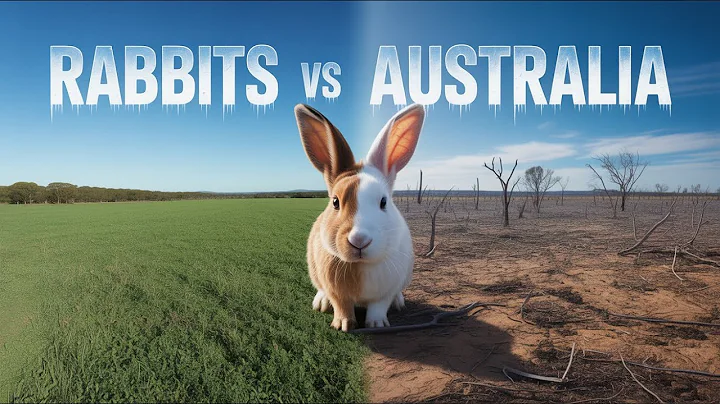 Why Australia's 22.7 Million People Can't Stop 200 Million Rabbits