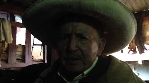 Pap/Adn Reynoso