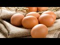 人人都吃雞蛋，卻不知道雞蛋「加一寶」，就能「甩掉老花眼」！這樣吃效果更佳！