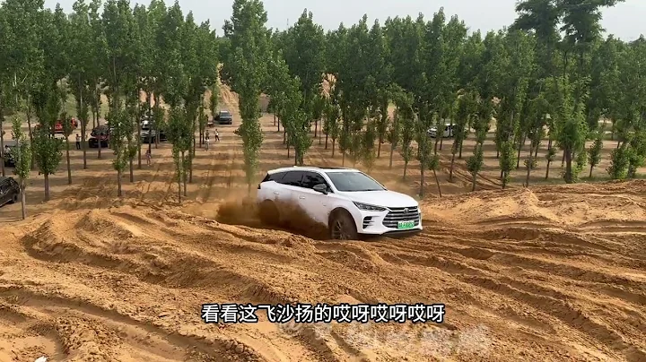 四驅越野沙坡挑戰依次出場的是：坦克300/比亞迪唐/哈弗大狗/BJ30~越野汽車哪家強【愛越野的鵬鵬】 - 天天要聞