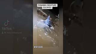 Panama meteorite alien ESCAPES!!!!?? #shorts #panama #meteor #alien