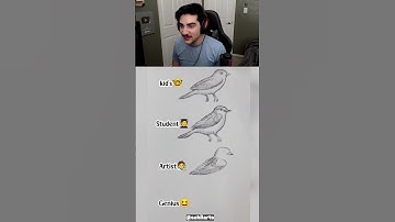 HOW TO DRAW A BIRD BEGINNER TO EXPERT #shorts