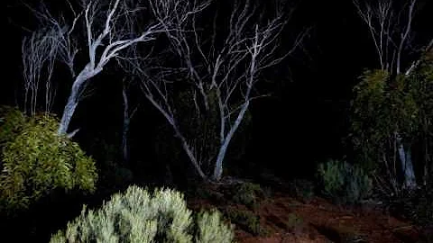 "Demon Of The Outback" Creepypasta (By Cassandra W...