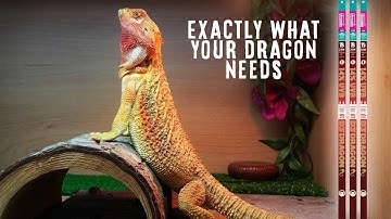 The Best HO T5 Reptile Lamp. DragonLamp 14% UV-B by Arcadia Reptile