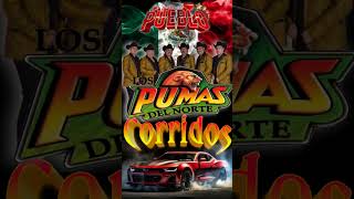 Los Pumas Del Norte Puros Corridos Al Millón