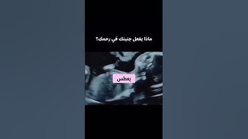#حالات_واتس #تلاوة_مؤثرة #تلاوة_خاشعة #إسلام_صبحي #حالات #حالات_واتساب #صوت_يريح_القلب #قران_كريم