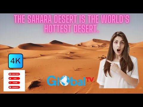 Sahara Desert & Dubai Desert. #saharadesert  #dubaidesert  #arabiandesert  #desertlifestyle