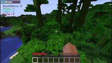 AntiAura fly test (8.99)