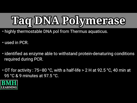 วีดีโอ: Taq polymerase มาจากอะไร?