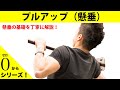 【解説】ゼロから始める懸垂！【懸垂の基礎とフォームを丁寧に】