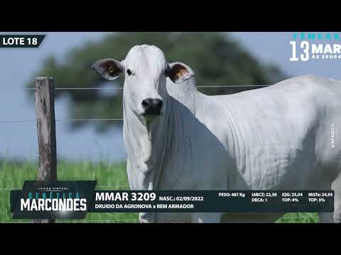 LOTE 18   MMAR 3209