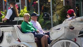 Terravita Lifestyle Niagara Falls Luxury