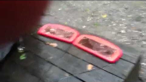 Camp Overflow Otis Ma