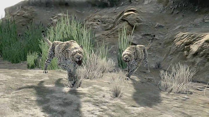 Cabela's Dangerous Hunts 2011 -  Official Activision Epic Action Trailer