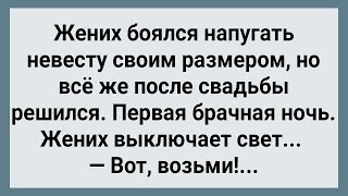 Жених Напугал Невесту Своим Размером! Сборник Свежих Анекдотов! Юмор!