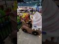 Cio Main Ke Mall. Suka Banget