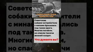 Собаки герои войны #собаки #война #shorts