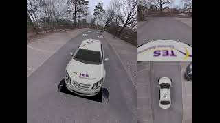 TES 3D Surround View / 360° Bird View - (2) Splitscreen Mode