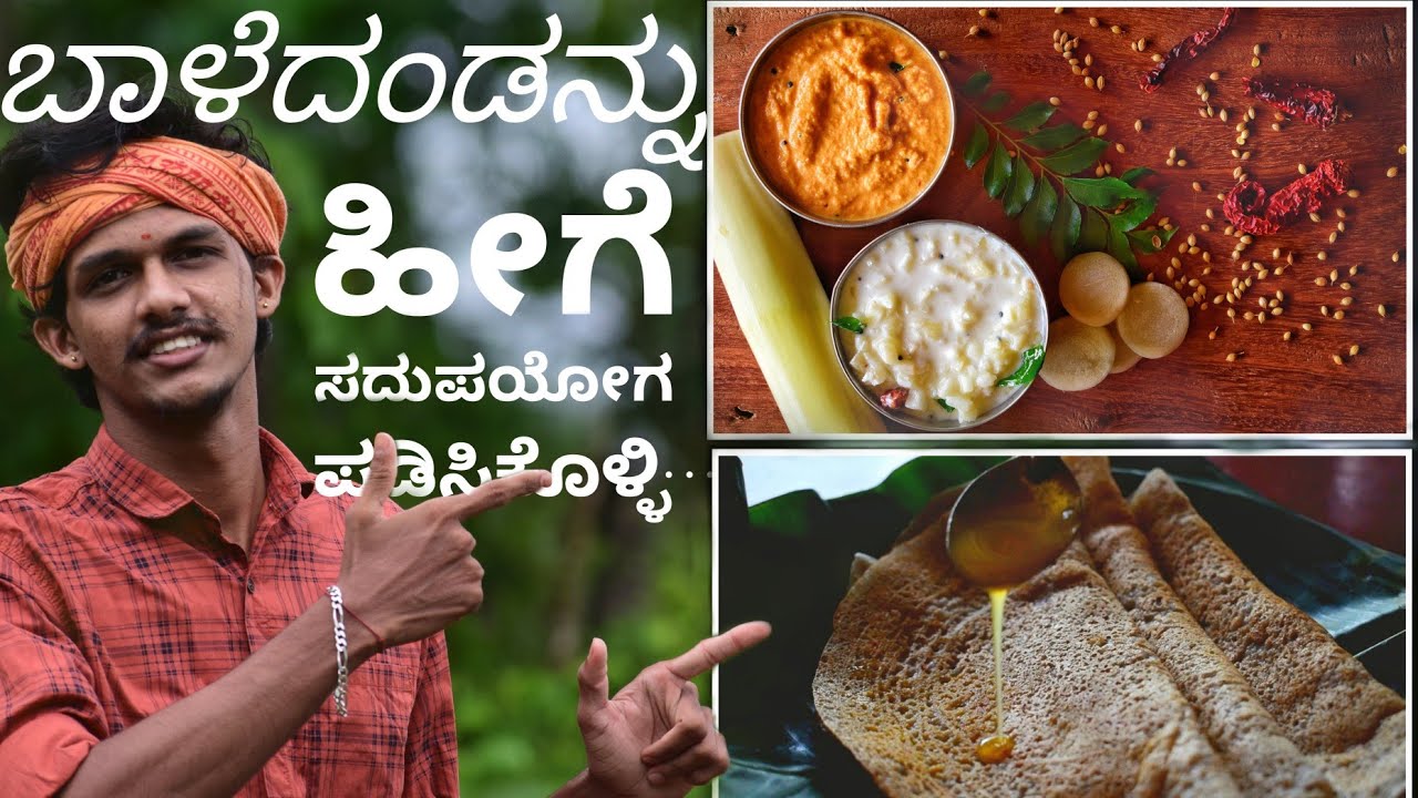 ಬಾಳೆದಂಡಿನಿಂದ ಹಲವು ಬಗೆಗಳು| Baale dandina pacchadi Baledandina dose|Banana stem dosa|stem salli recipe
