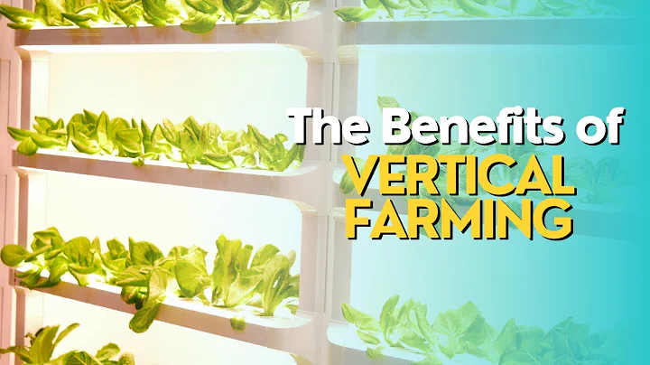 The Benefits of Vertical Farming