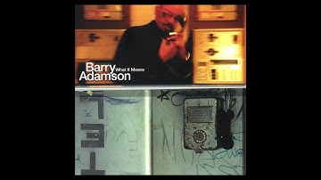 Barry Adamson - What It Means (Radio Edit) (Official Audio)