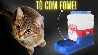 Comedouro Automático Cães Cachorros Gatos Prático 3 Litros  (marca ALVORADA)