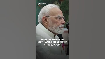 "Vital for Elephant, Dragon to Come Together": Xi Tells PM Modi at SCO Summit | N18G