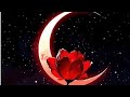 Infiniti Empress is live!Cancer 🌼 🌸 Moon