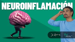 NEUROINFLAMACIÓN by Dr. Hernández 7,575 views 10 months ago 29 minutes