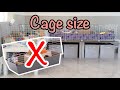 Choosing the Right Cage Size for Happy Guinea Pigs