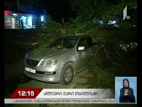 თბილისში, მოსკოვის გამზირზე ხე წაიქცა და ავტომობილს დაეცა