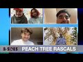 Peach Tree Rascals Say Getting Back To Nature at Camp Nowhere Helped Inform New EP, &#39;End of Time&#39;