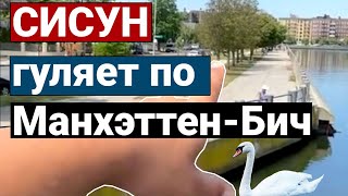 СИСУН на отдыхе в Нью-Йорке | Прогулка по Манхэттен-Бич