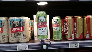 Tokinomo x Pale Ale Panda | Interactive Shopper Marketing Campaign