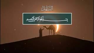 Siratullo Raupov. 27 Ан-Намль (Муравьи)