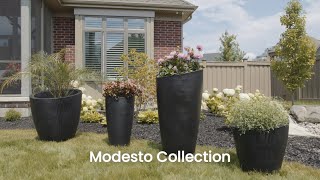 Modesto Collection | Mayne Inc.