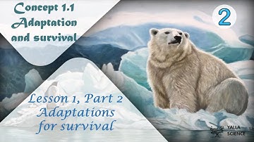 CONCEPT 1.1..LESSON1 PART 2.....ADAPTATIONS FOR SURVIVAL ..... FIRST TERM GRADE-4...