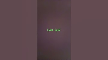 تلاوة عطرة #القرآن_الكريم #راحة_نفسية #صلوا_على_النبي #تلاوات