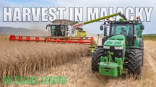 Harvest Oilseed Rape in Malacky | 5 Combine Harvesters Claas Lexion | Tractors Claas and John Deere