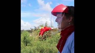 Hummingbird Feeder Helmetfacts In Teluguinteresting Facts In Teluguamazing Facts Telugu