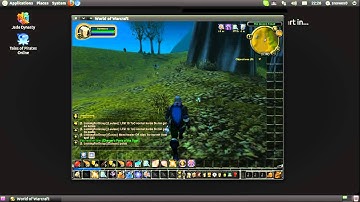 World of Warcraft: Playing on Ubuntu with Wine by Snowex0