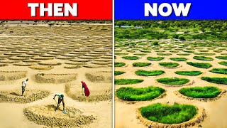 Transforming The Sahara How Africas Great Green Wall Is Reclaiming Land And Livelihoods